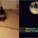 Image for article titled Video of Alleged Rape Posted in Florida A&M University Social Media Community